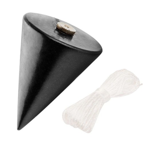 pion skoliozy.jpg